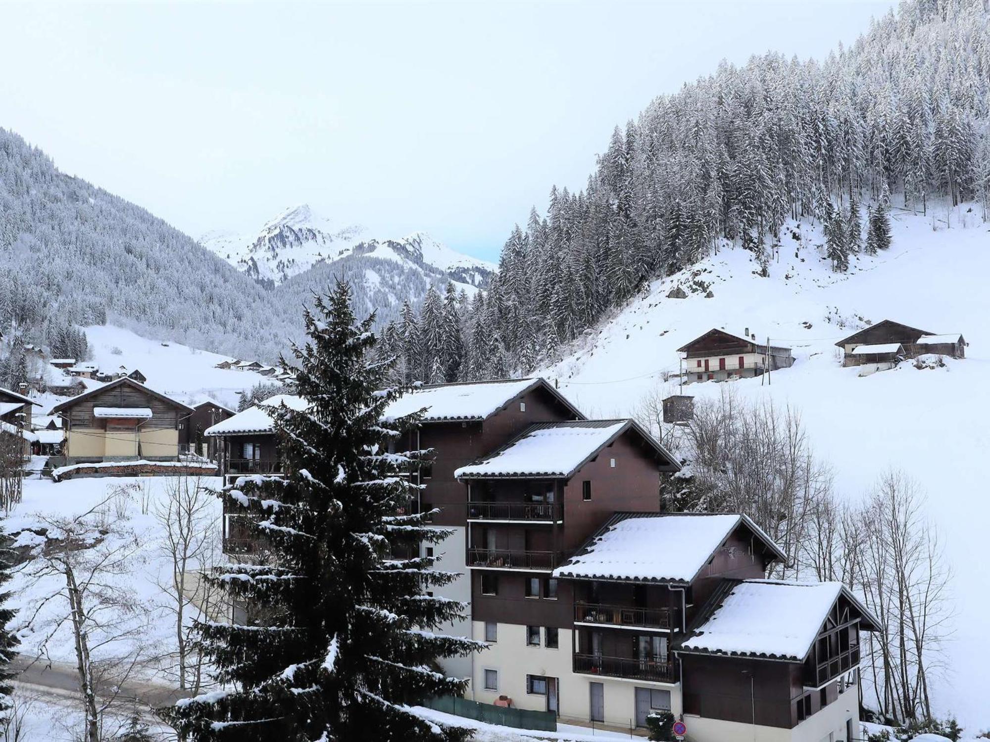 Appartement Cosy Pour 4-5 Personnes, Centre Village, Proche Pistes, Ascenseur, Bien Equipe - Fr-1-342-163 Areches Luaran gambar